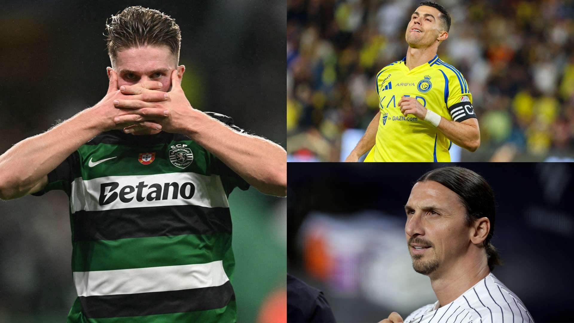 他们在各自 他们在各自